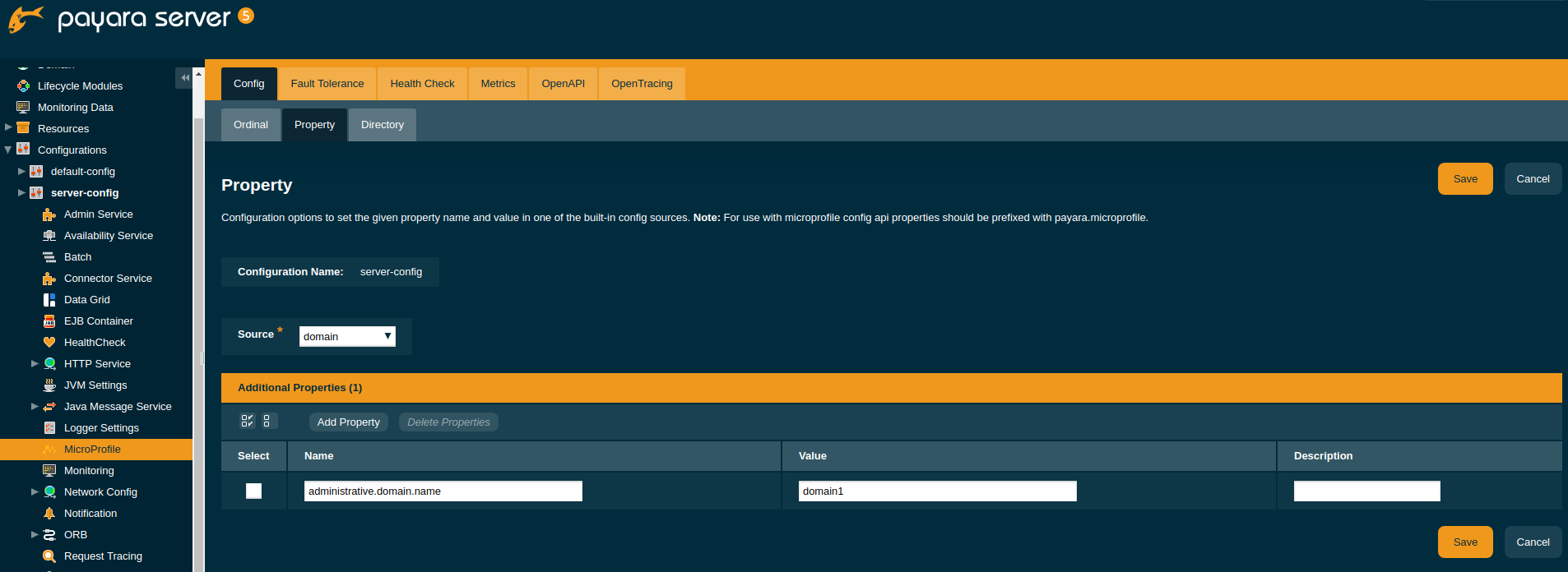 Set Config Property